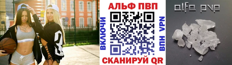 Альфа ПВП СК КРИС  Олонец 
