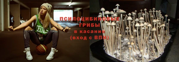 шишки Болохово