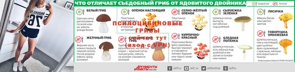 ГАЛЛЮЦИНОГЕННЫЕ ГРИБЫ Беслан