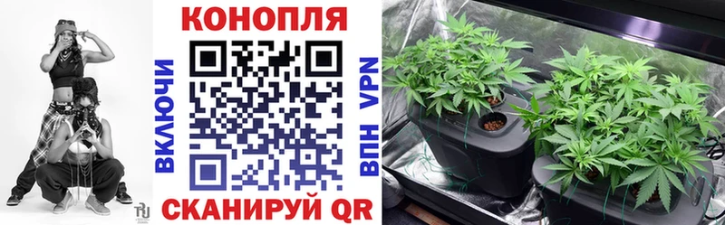 это клад  Олонец  Шишки марихуана сатива  где продают наркотики 